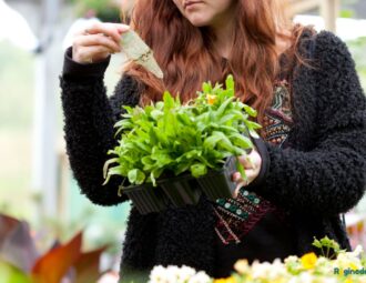 conseils choisir plantes jardin ombre