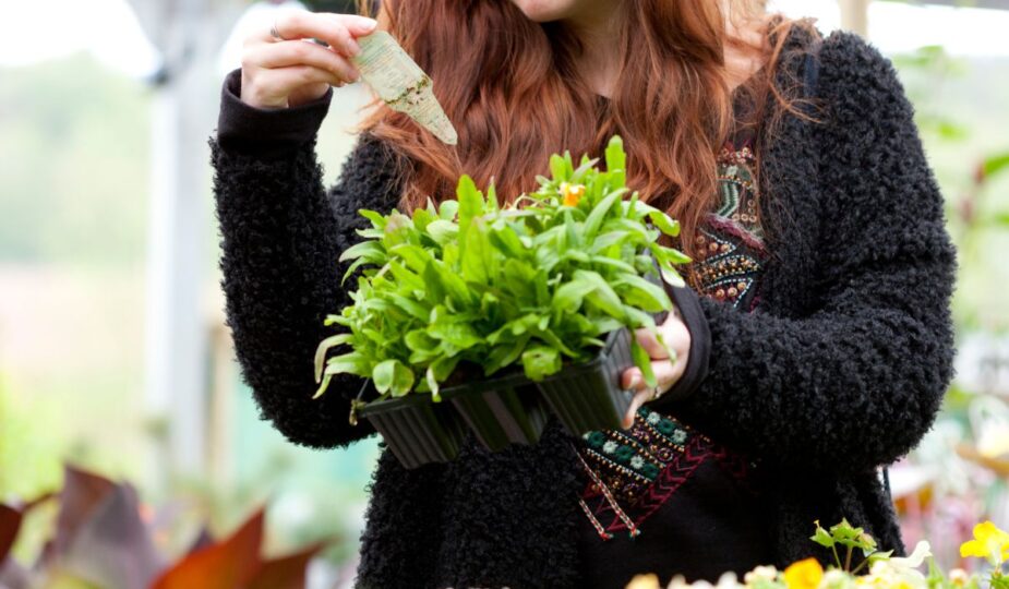 conseils choisir plantes jardin ombre