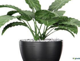 conseils intégrer plantes fleurs