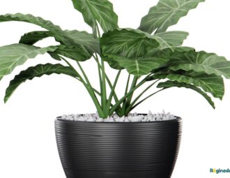 conseils intégrer plantes fleurs