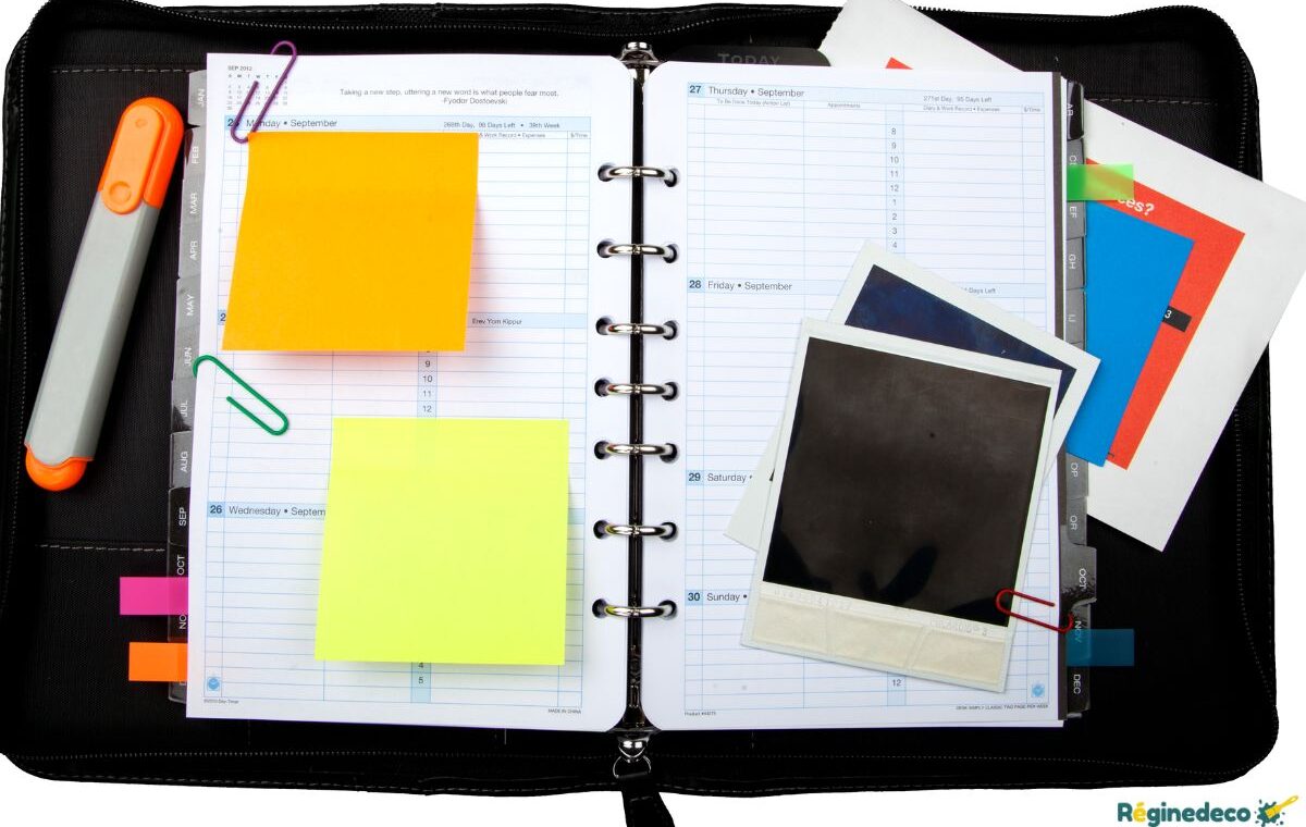 idées organiser collection livres